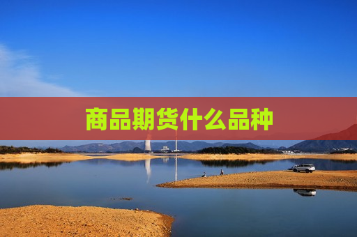 商品期货什么品种