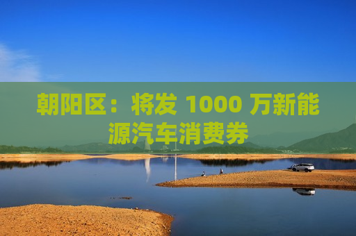 朝阳区：将发 1000 万新能源汽车消费券  第1张