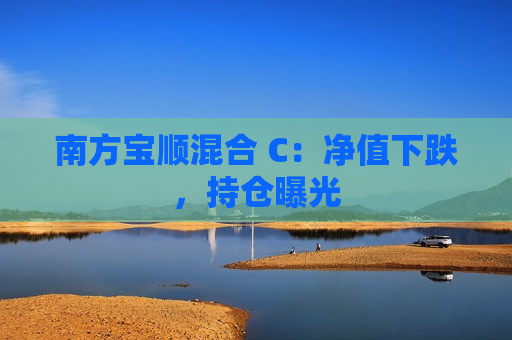 南方宝顺混合 C：净值下跌，持仓曝光