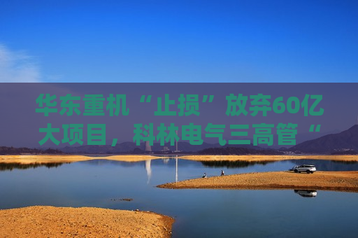 华东重机“止损”放弃60亿大项目，科林电气三高管“叛变”被公司索赔2000万  第1张