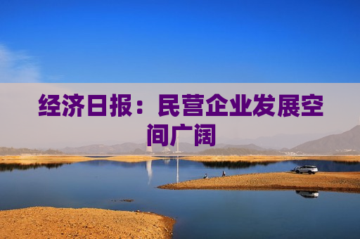 经济日报：民营企业发展空间广阔  第1张