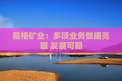 藏格矿业：多项业务数据亮眼 发展可期