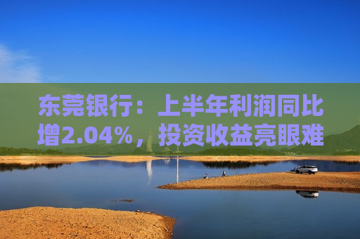 东莞银行：上半年利润同比增2.04%，投资收益亮眼难掩存贷业务困境  第1张