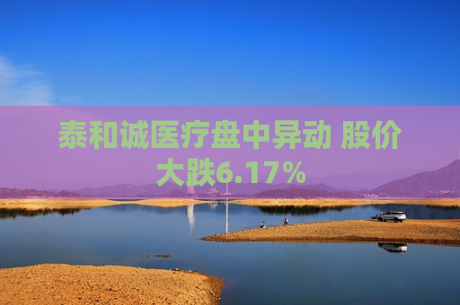 泰和诚医疗盘中异动 股价大跌6.17%  第1张