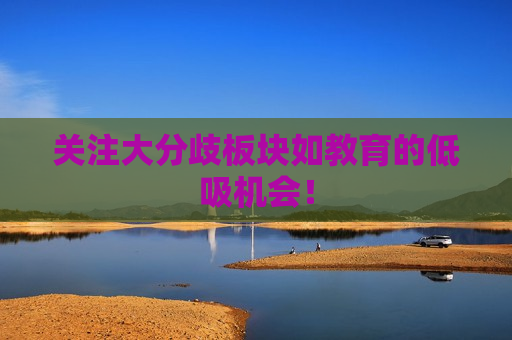 关注大分歧板块如教育的低吸机会！  第1张