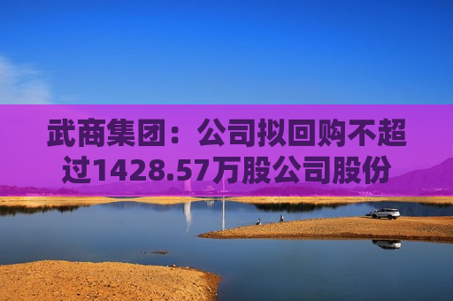 武商集团：公司拟回购不超过1428.57万股公司股份