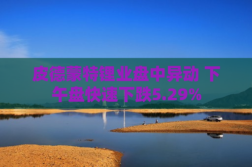 皮德蒙特锂业盘中异动 下午盘快速下跌5.29%