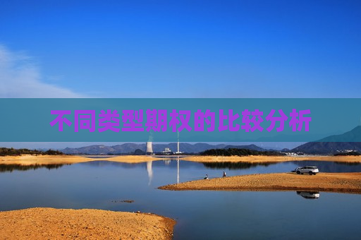 不同类型期权的比较分析