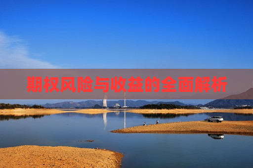 期权风险与收益的全面解析