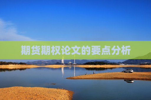 期货期权论文的要点分析