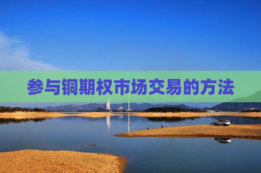 参与铜期权市场交易的 *** 