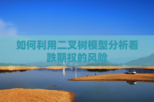 如何利用二叉树模型分析看跌期权的风险  第1张