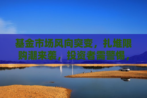 基金市场风向突变，扎堆限购潮来袭，投资者需警惕，基金市场突发限购潮，投资者需谨慎应对