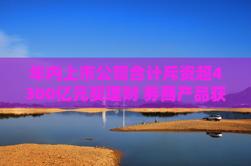 年内上市公司合计斥资超4300亿元买理财 券商产品获认购比例上升  第1张