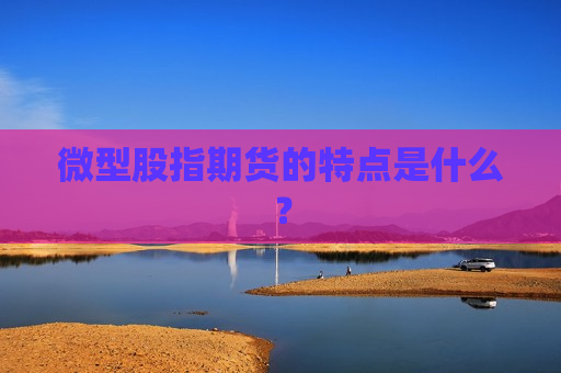 微型股指期货的特点是什么？  第1张