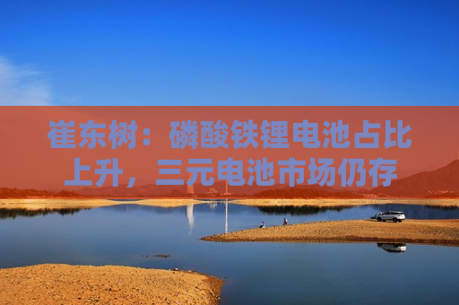 崔东树：磷酸铁锂电池占比上升，三元电池市场仍存