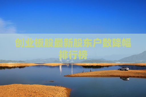 创业板股最新股东户数降幅排行榜