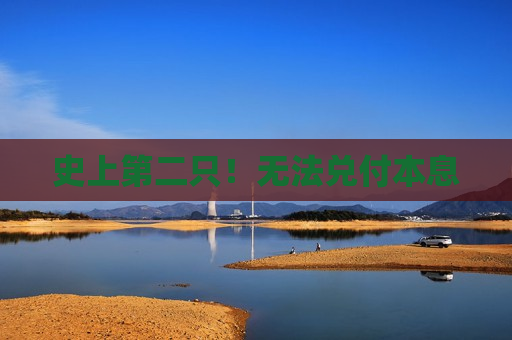 史上第二只！无法兑付本息  第1张