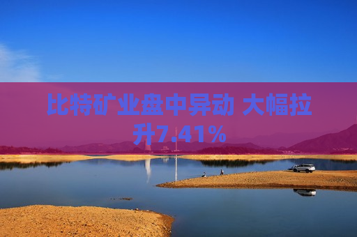 比特矿业盘中异动 大幅拉升7.41%  第1张
