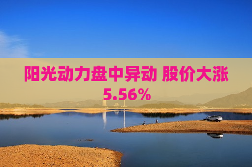 阳光动力盘中异动 股价大涨5.56%