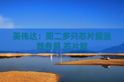 英伟达：周二多只芯片股涨跌各异 芯片股