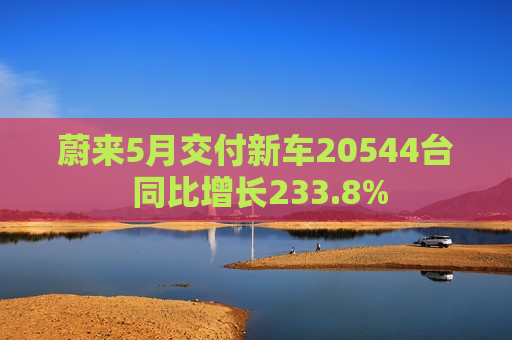 蔚来5月交付新车20544台 同比增长233.8%  第1张