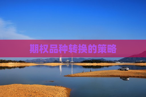 期权品种转换的策略