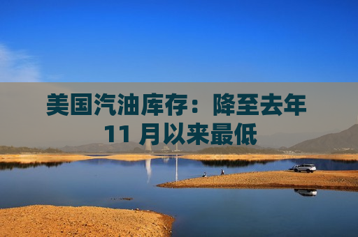 美国汽油库存：降至去年 11 月以来更低  第1张