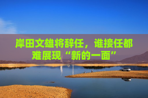 岸田文雄将辞任，谁接任都难展现“新的一面”
