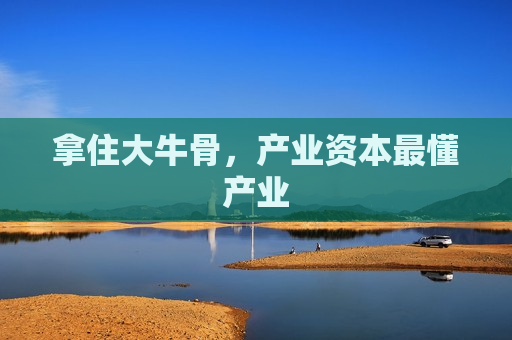 拿住大牛骨，产业资本最懂产业