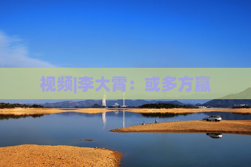 视频|李大霄：或多方赢  第1张