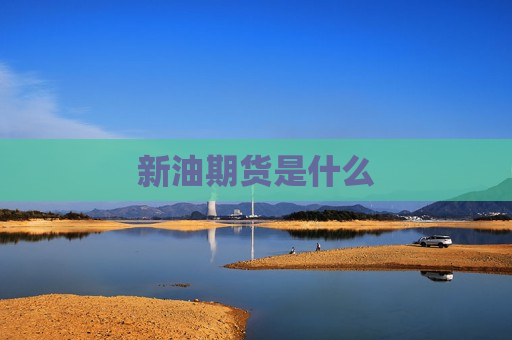 新油期货是什么