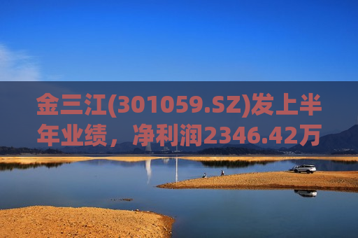 金三江(301059.SZ)发上半年业绩，净利润2346.42万元，同比增长34.10%  第1张
