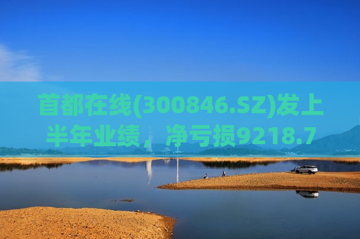 首都在线(300846.SZ)发上半年业绩，净亏损9218.70万元  第1张