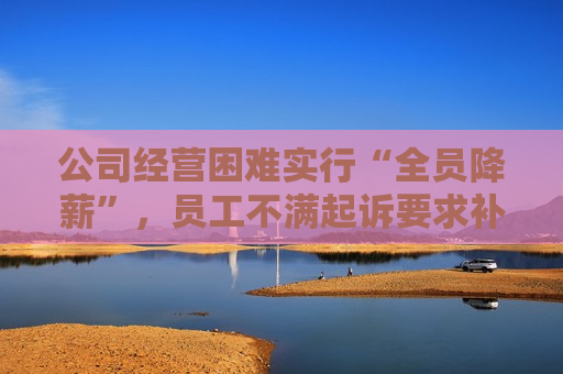 公司经营困难实行“全员降薪”，员工不满起诉要求补发被降工资，法院这样判→