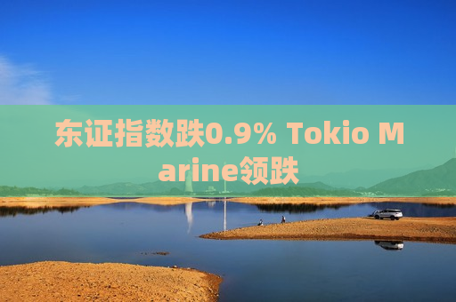东证指数跌0.9% Tokio Marine领跌