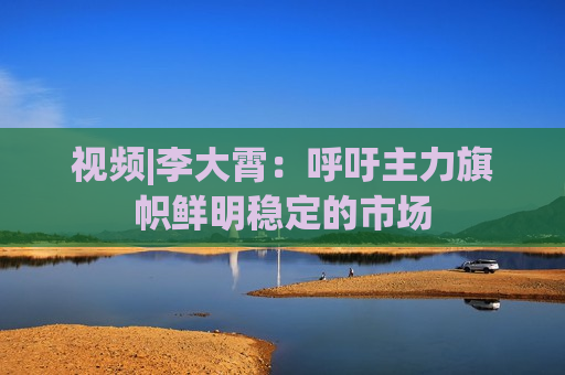 视频|李大霄：呼吁主力旗帜鲜明稳定的市场  第1张