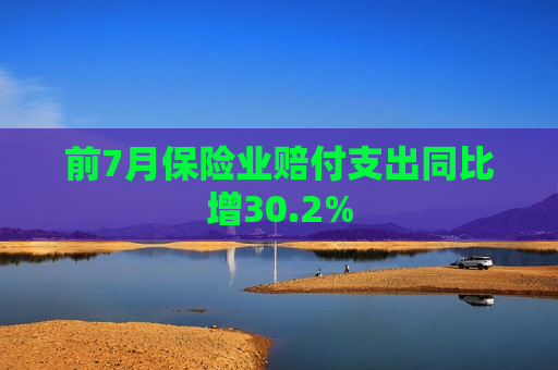 前7月保险业赔付支出同比增30.2%