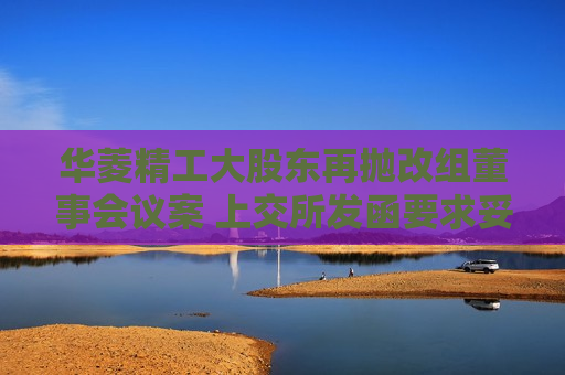 华菱精工大股东再抛改组董事会议案 上交所发函要求妥善解决争议