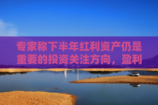 专家称下半年红利资产仍是重要的投资关注方向，盈利稳定的资产性价比将逐渐凸显