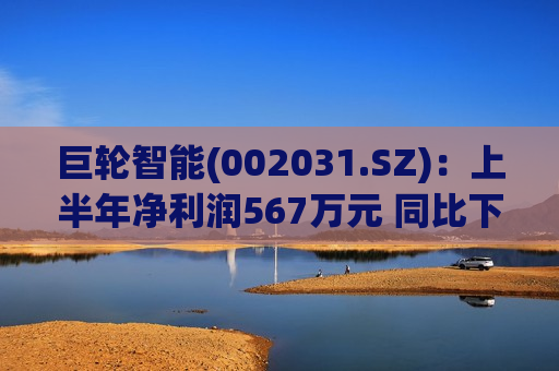 巨轮智能(002031.SZ)：上半年净利润567万元 同比下降34.67%