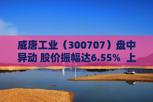 威唐工业（300707）盘中异动 股价振幅达6.55%  上涨6.46%（08-19） 第1张