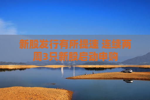 新股发行有所提速 连续两周3只新股启动申购