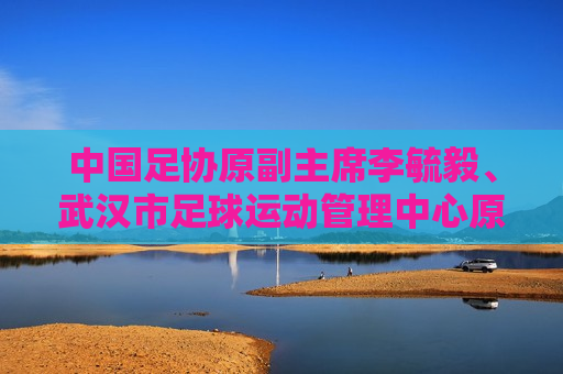 中国足协原副主席李毓毅、武汉市足球运动管理中心原主任付翔同日被判