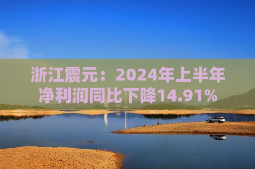 浙江震元：2024年上半年净利润同比下降14.91%  第1张