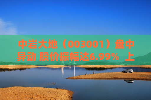 中岩大地（003001）盘中异动 股价振幅达6.99%  上涨5.89%（08-20）
