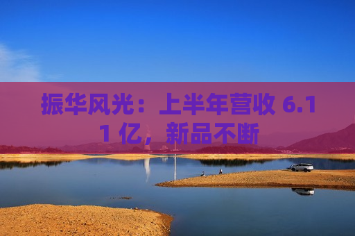 振华风光：上半年营收 6.11 亿，新品不断  第1张