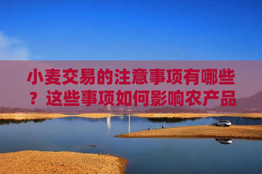 小麦交易的注意事项有哪些？这些事项如何影响农产品市场？