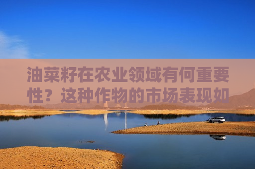 油菜籽在农业领域有何重要性？这种作物的市场表现如何？