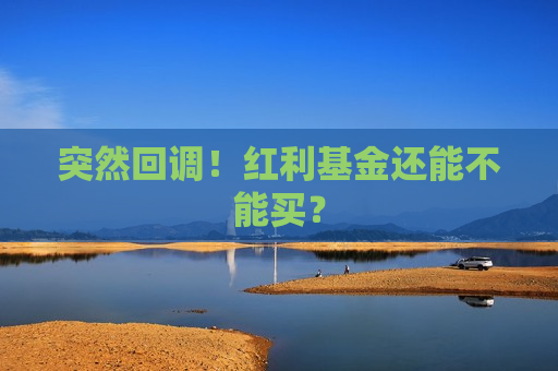 突然回调！红利基金还能不能买？